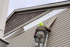 Best Aluminum Siding Installation  in Ligh, NE